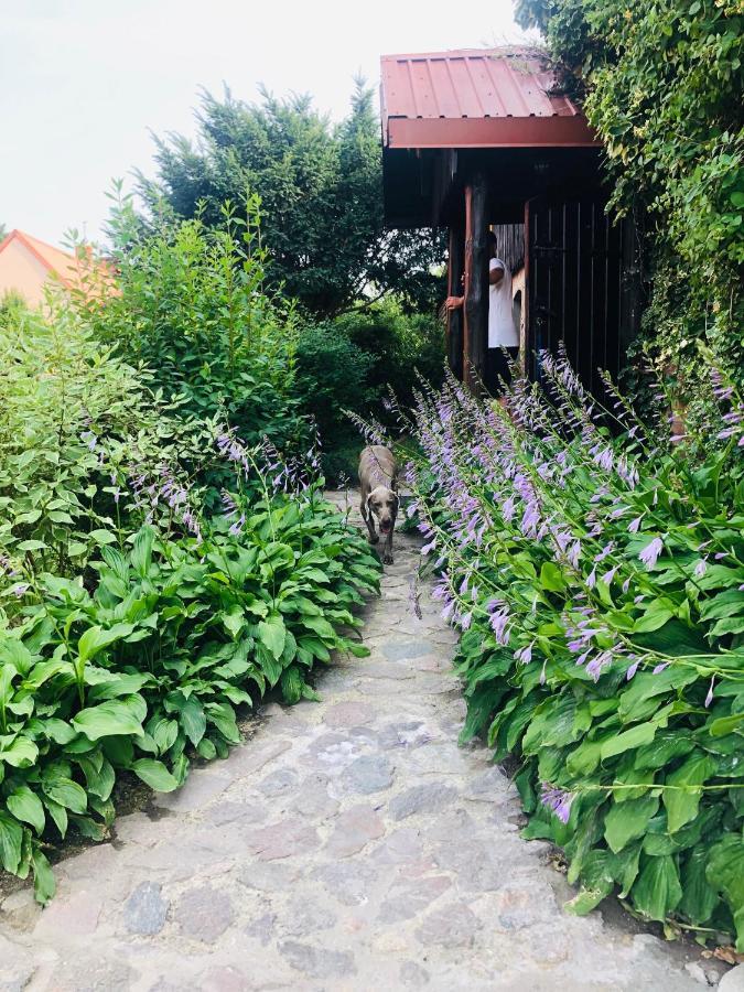 Spokojny Zaulek Ulinia Exteriér fotografie
